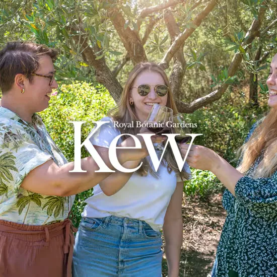 Wine Walks: The Henry Moore Edition at the Royal Botanic Gardens, Kew at Royal Botanic Gardens, Kew