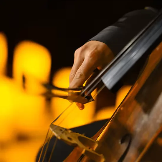 Candlelight: Christmas Classics at Leeds City Museum