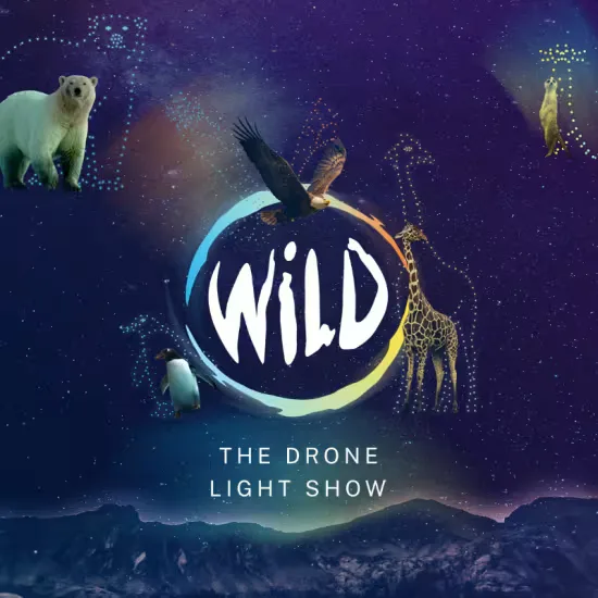 WILD: The Drone Light Show - Ipswich