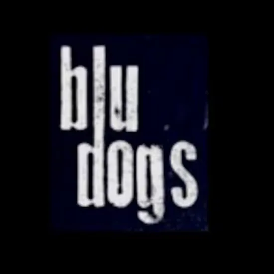 Blu Dogs live at SJQ