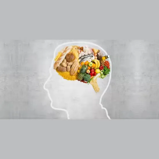 The Gut-Brain Connection. at The Wardrobe