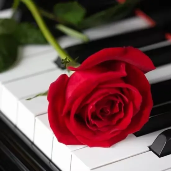 Valentine's Moonlight Sonata by Candlelight at St Ann's Church at St Ann's Church