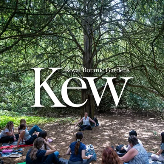 Forest Bathing at The Royal Botanic Gardens, Kew at Royal Botanic Gardens, Kew