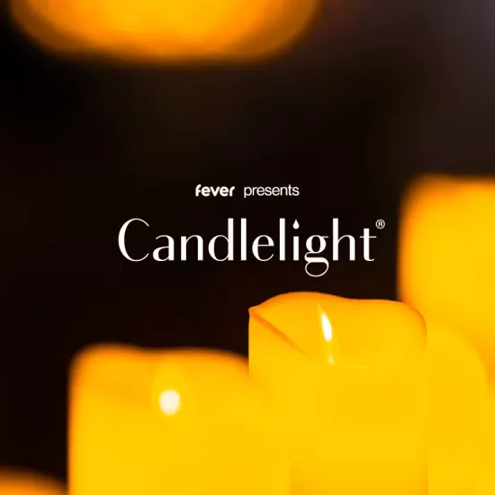 Candlelight: Vivaldi's Four Seasons at Northampton Museum and Art Gallery