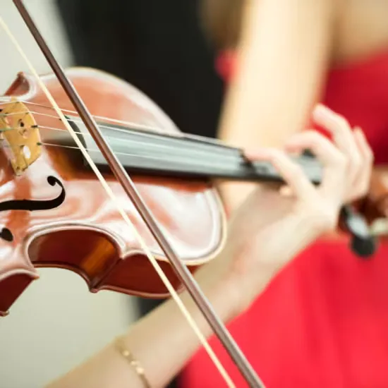 Beethoven Violin Sonatas by Candlelight at St Mary le Strand at St Mary Le Strand Church