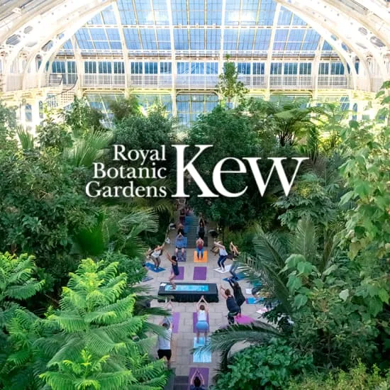 Temperate House Yoga Experience at The Royal Botanic Gardens, Kew at Royal Botanic Gardens, Kew