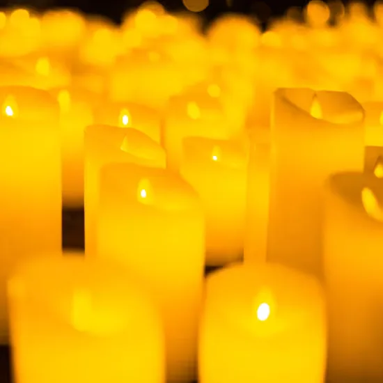 Candlelight: The Best of Joe Hisaishi