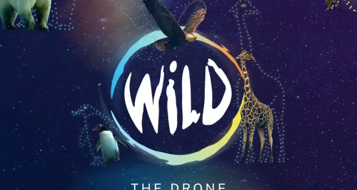 WILD: The Drone Light Show At Lord's Cricket Ground at Lord's Cricket Ground