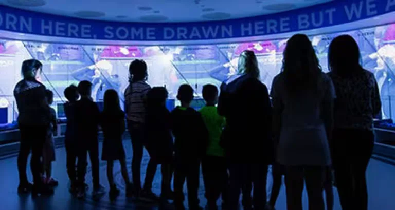 Manchester City Stadium Tour at Etihad Stadium