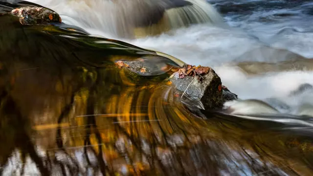 Teign Gorge (Member Led Event)