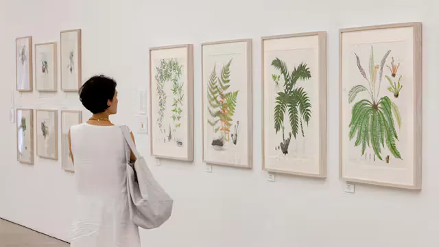 The RHS Portfolio Advisory Session