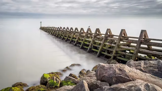 Exploring The Naze, Walton (Member Led Event)