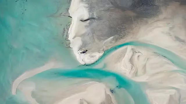 For the Love of Landscape, a talk by Mieke Boynton