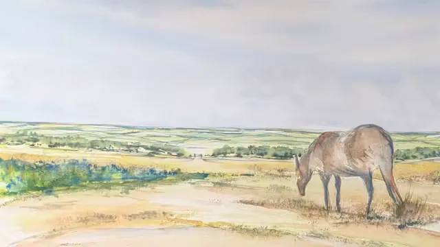 The Watercolour Club
