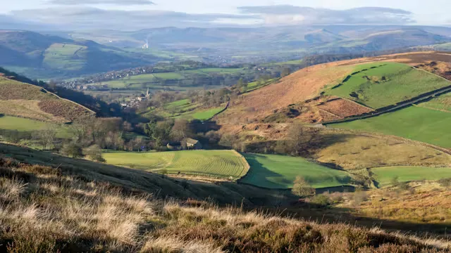 Millstone Edge and Owler Tor in the Heather (Member Led Event)