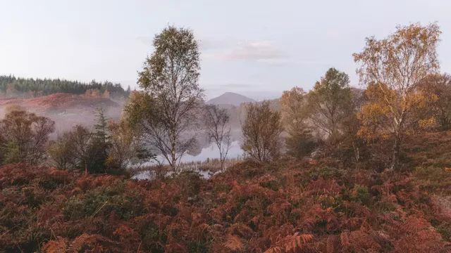 Making Meaningful Photographs - A Three-Part Workshop in Eryri (Snowdonia) with Brad Carr at Eyri (Snowdonia)