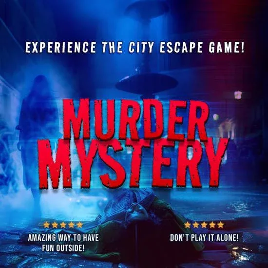 Belfast Murder Mystery: Death in the Shadows