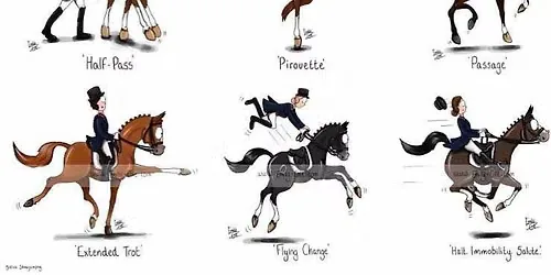 Christmas Competition at Bractullo Mill Equestrian Centre