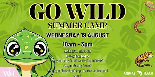 Go Wild Summer Camp