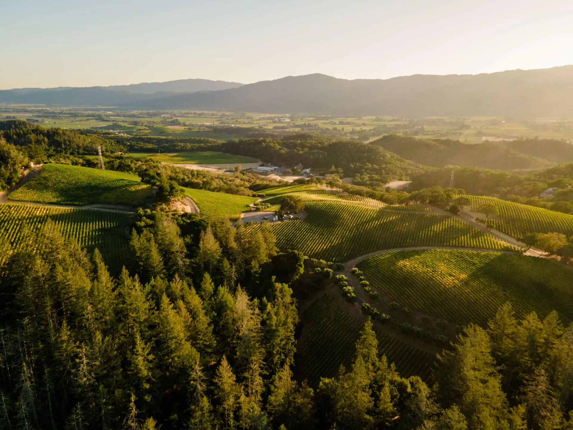 World of Wine Tasting: California with Kevin Travis from Starmont Vineyards