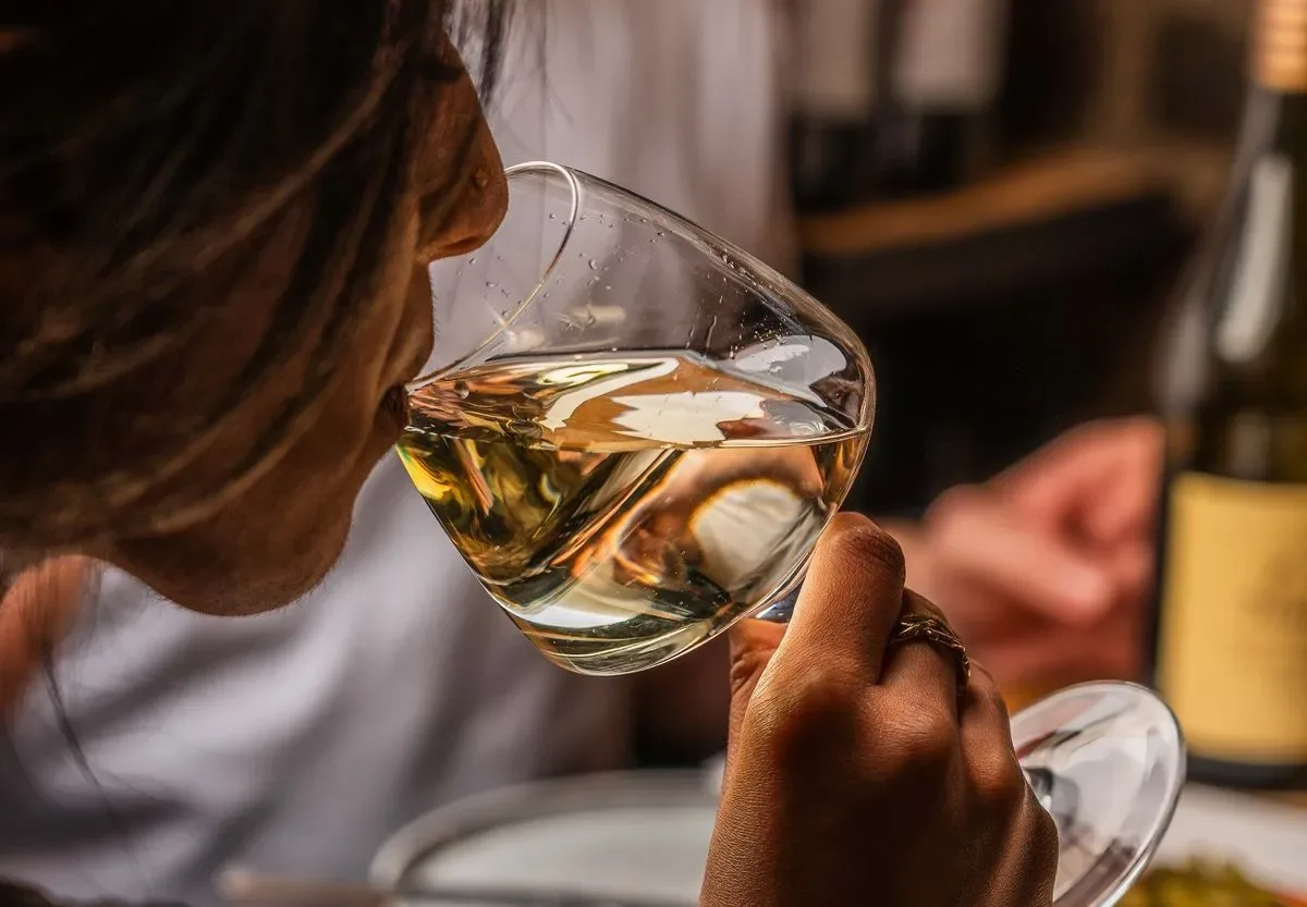 Wines of France at The Wine Tasting Shop