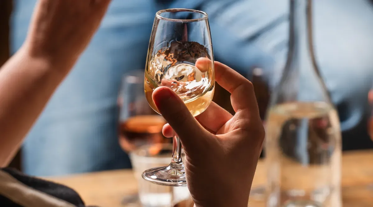 Wine Tasting Basics at The Wine Tasting Shop