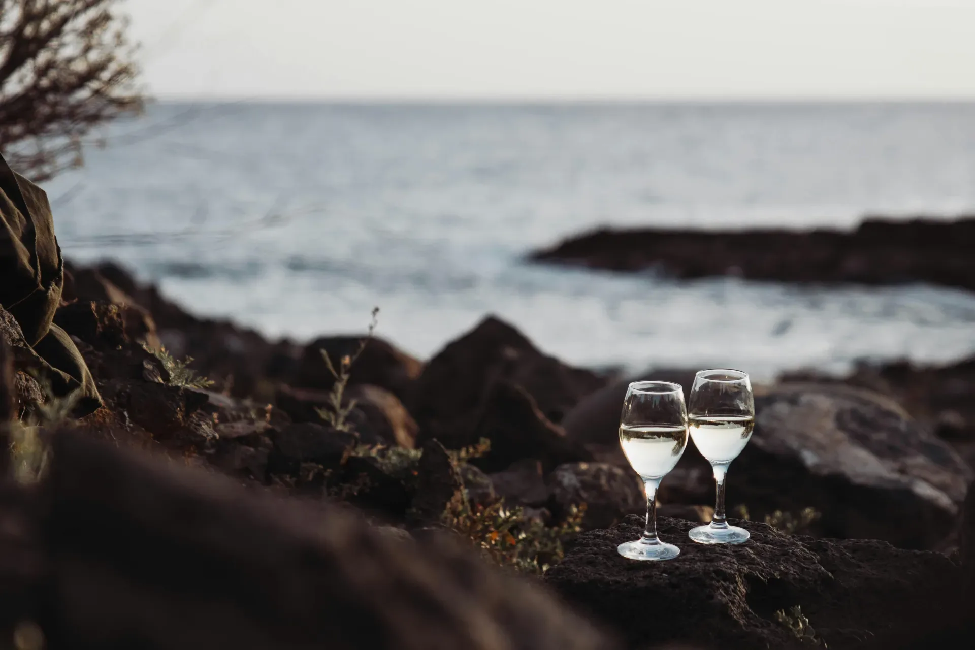 Southern Italy and its Islands at Theatre of Wine - Blackheath