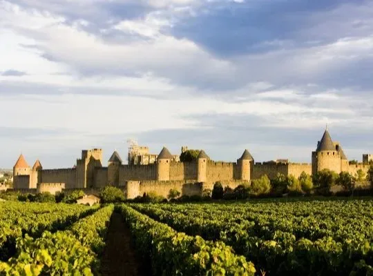 Discover the wines of the Rhône Valley at The Guildford Institute