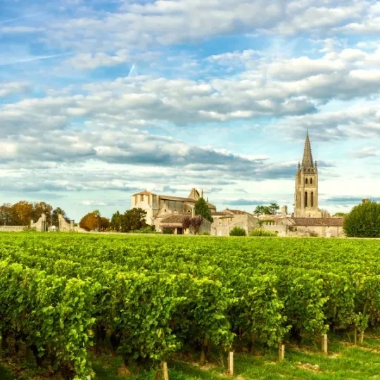 Wonderful World of Wine - Bordeaux & Rhone at Streatham Wine House, Streatham Hill