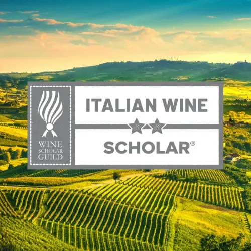 Italian Wine Scholar Course - Unit 2 at Hotel du Vin Tunbridge Wells