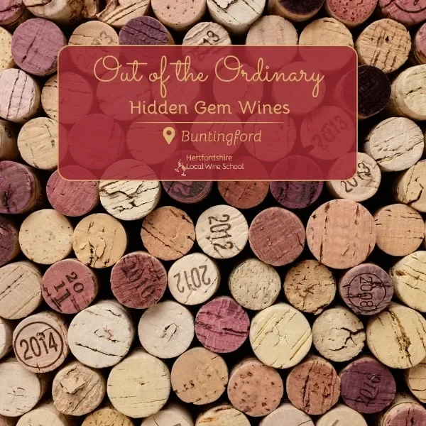 Out of the Ordinary: Hidden Gem Wines (Buntingford) at The Cheese Plate - Buntingford
