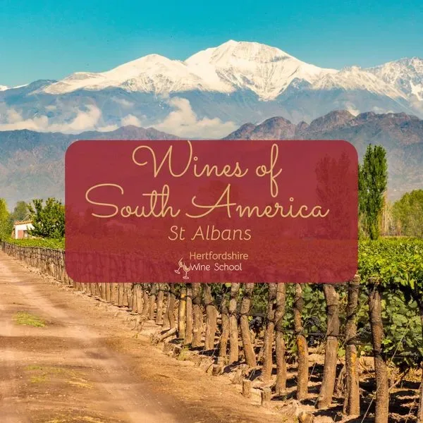 Wines of South America (Buntingford) at The Cheese Plate - Buntingford