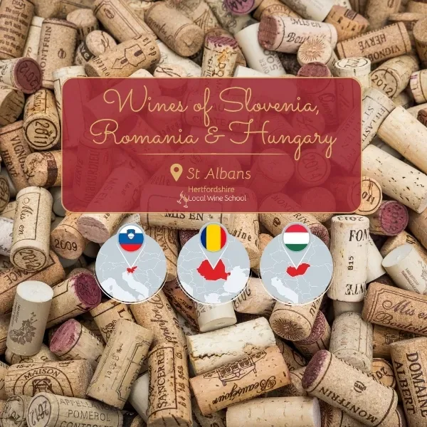 Wines of Slovenia, Romania & Hungary (St Albans) at The White Rooms - St Albans