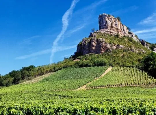 World of Wine - Burgundy, Loire & Rhone at Novotel Edinburgh Centre