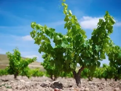 World of Wine - Spain and Portugal at citizenM Tower of London Hotel