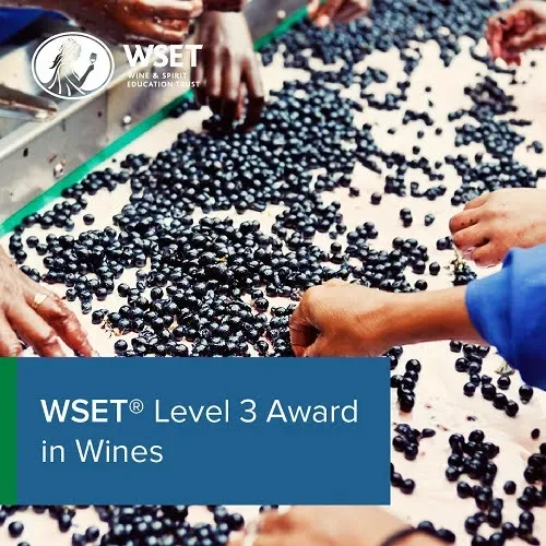 WSET Level 3 Award in Wines - CLASSROOM - Mondays October and November at Leonardo Hotel Bristol City