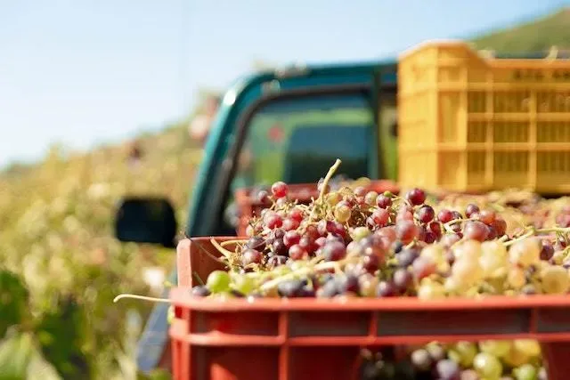Ramble down the Rhône Masterclass at Wayland's Yard, Birmingham