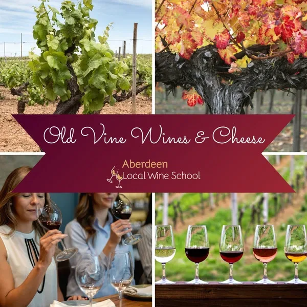 Old Vine Italian Wines & Cheese at Faffless
