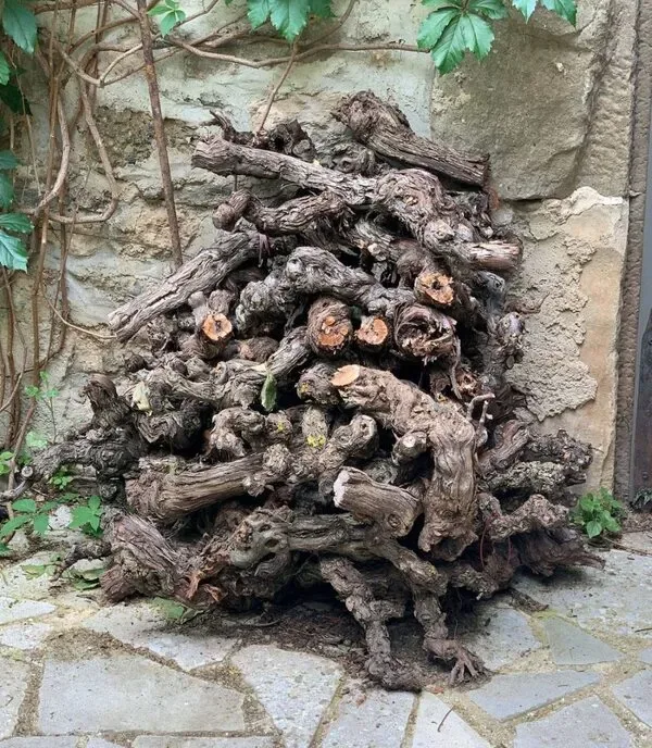 Italian Old Vine Masterclass at Broadway