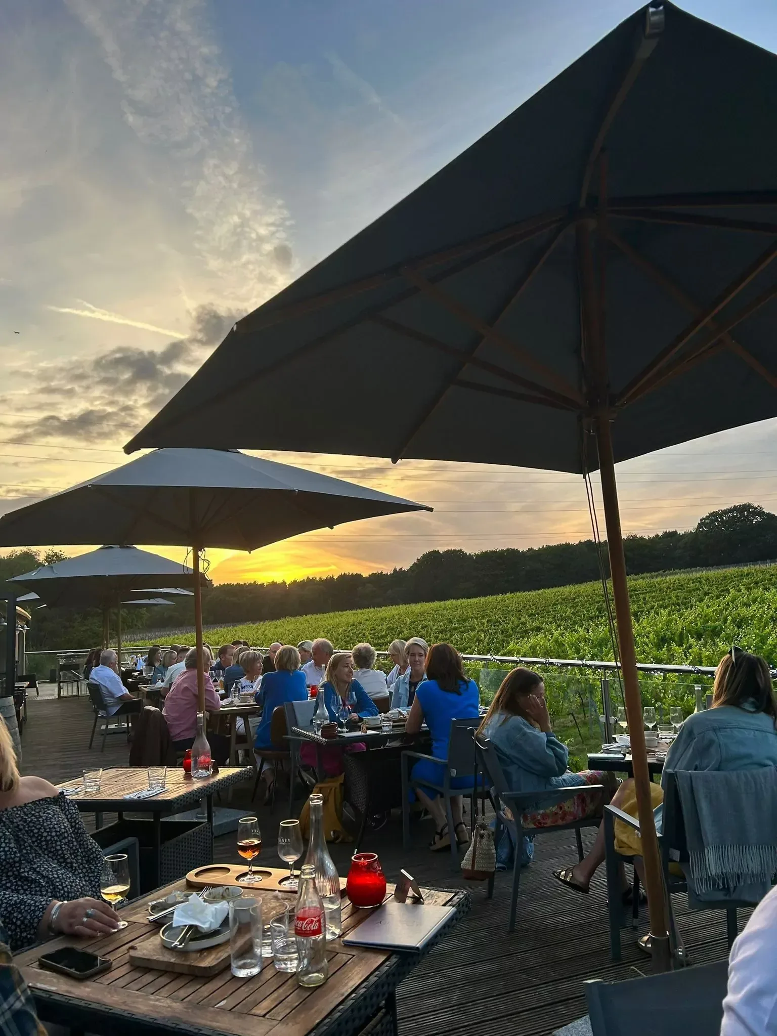 Summer Sunset Evening at Bolney Wine Estate