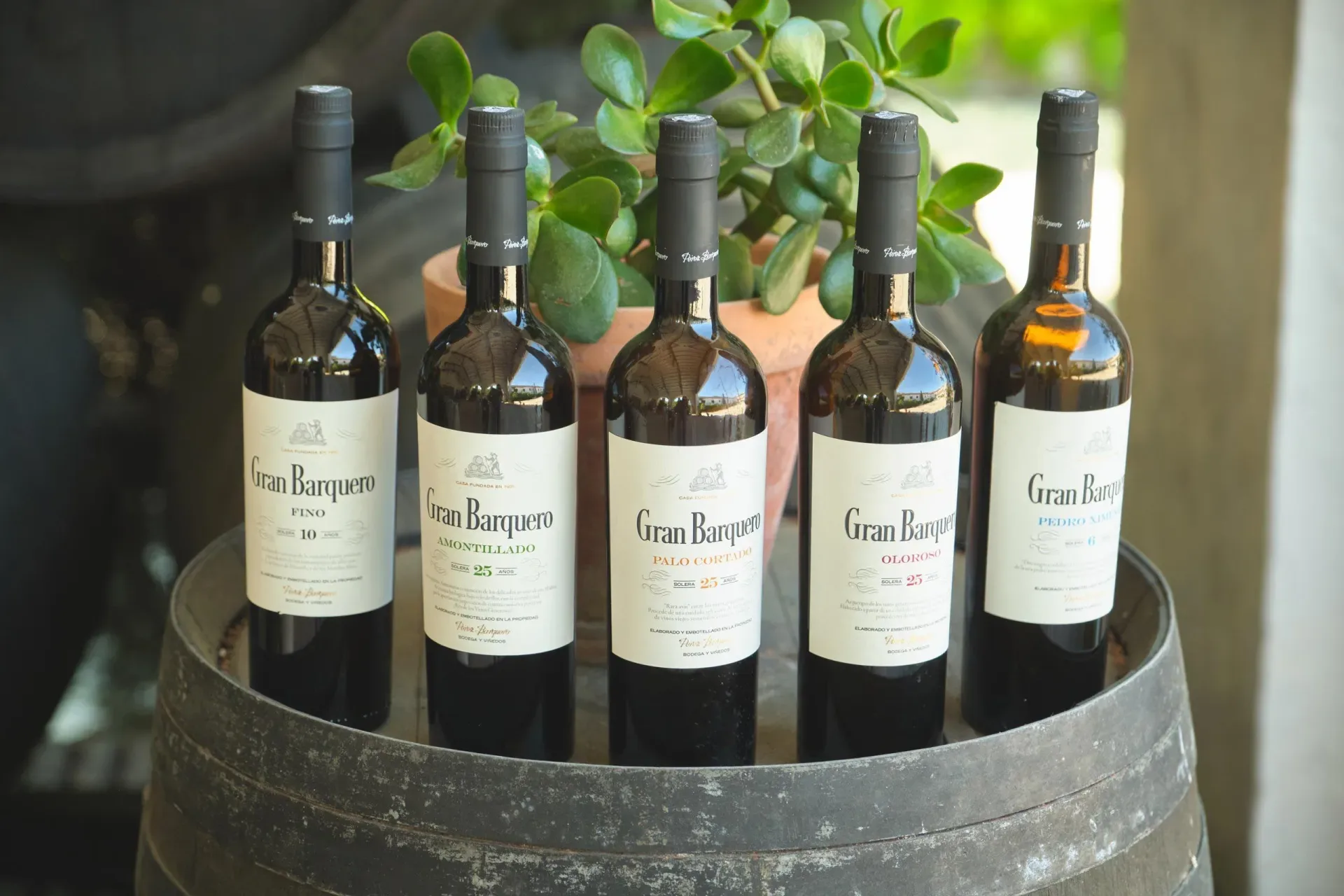 Sherry Masterclass - Gran Barquero | Amathus Soho