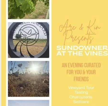 Sundowner at the Vines at Goose Beck Vineyard