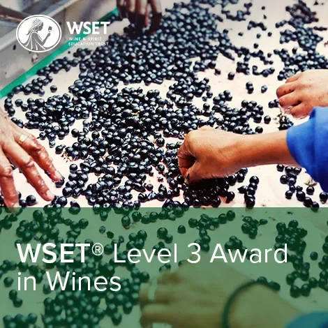 WSET Level 3 Award in Wines Course – Winchester at Mercure Wessex Hotel
