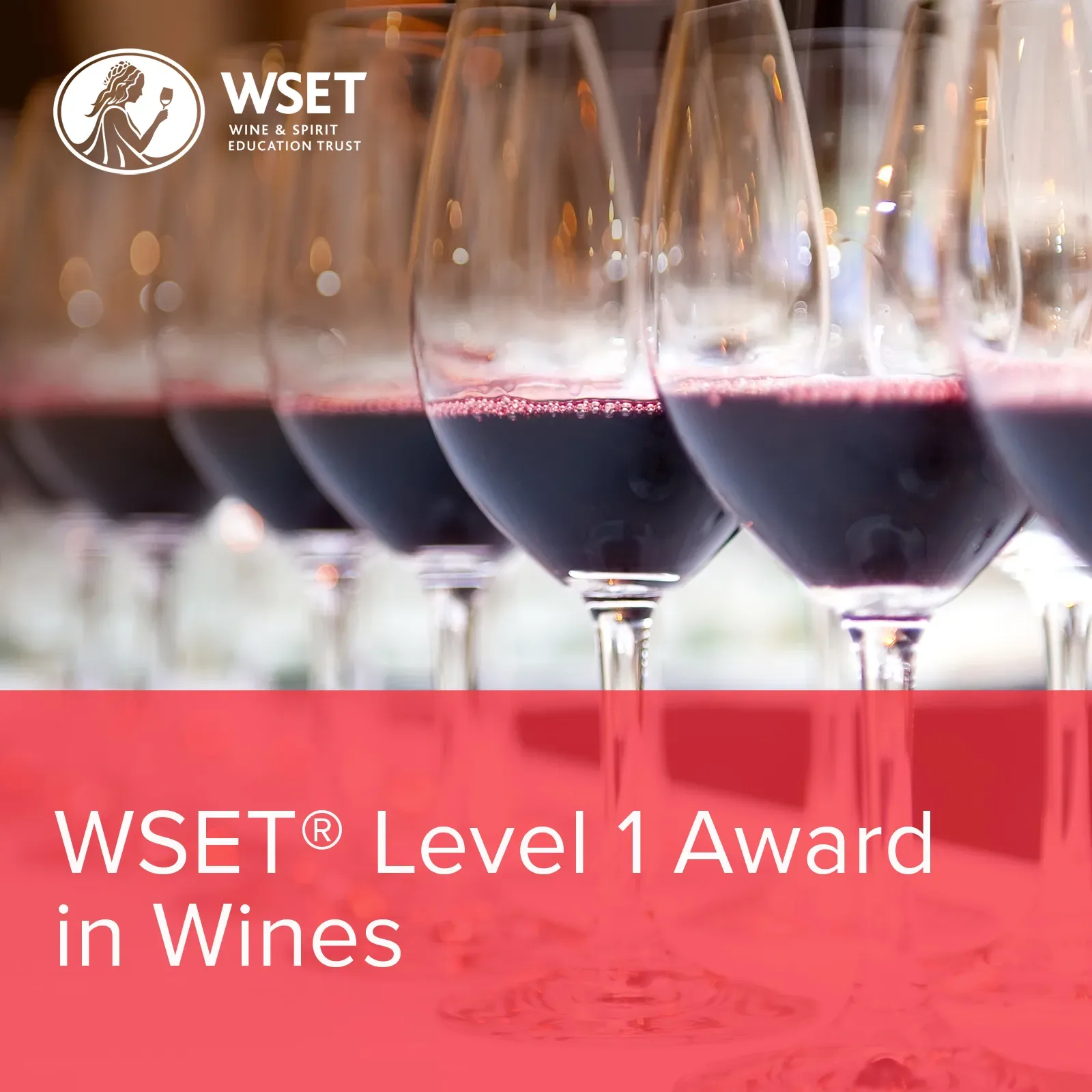 WSET Level 1 Award in Wines Classroom, Sunday daytime at The Wine Rooms Cambridge
