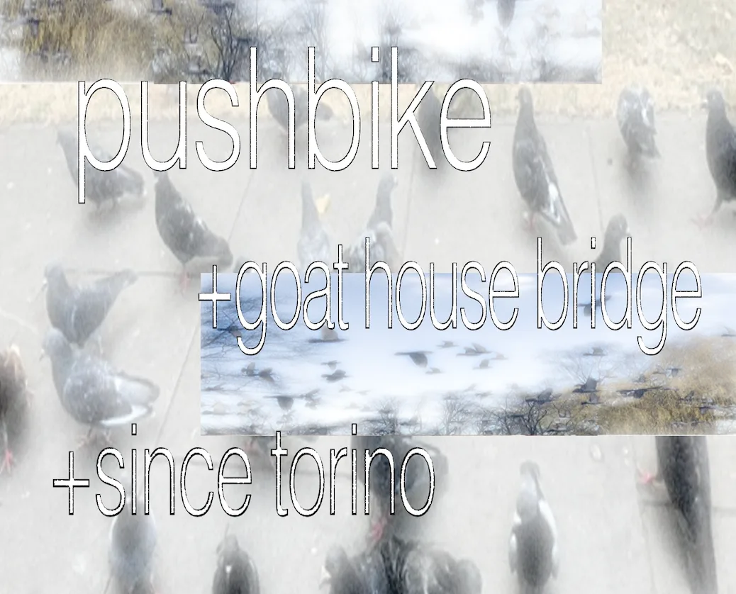 Pushbike @ alder bar