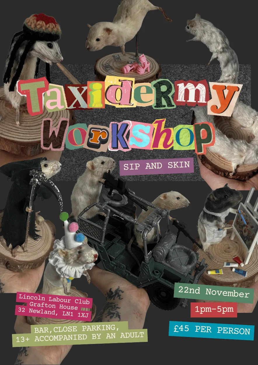 Taxidermy Workshop at Lincoln Labour Club & Institute Ltd