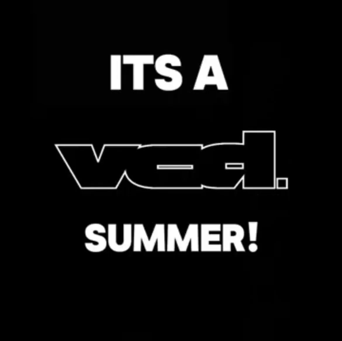 ☀️VCD SUMMER WAITING LIST☀️