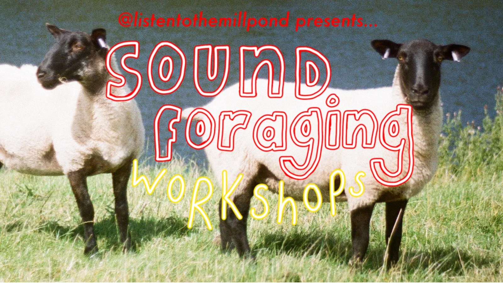 Sound Foraging - Field Recording Workshop at The Torrs Riverside Park