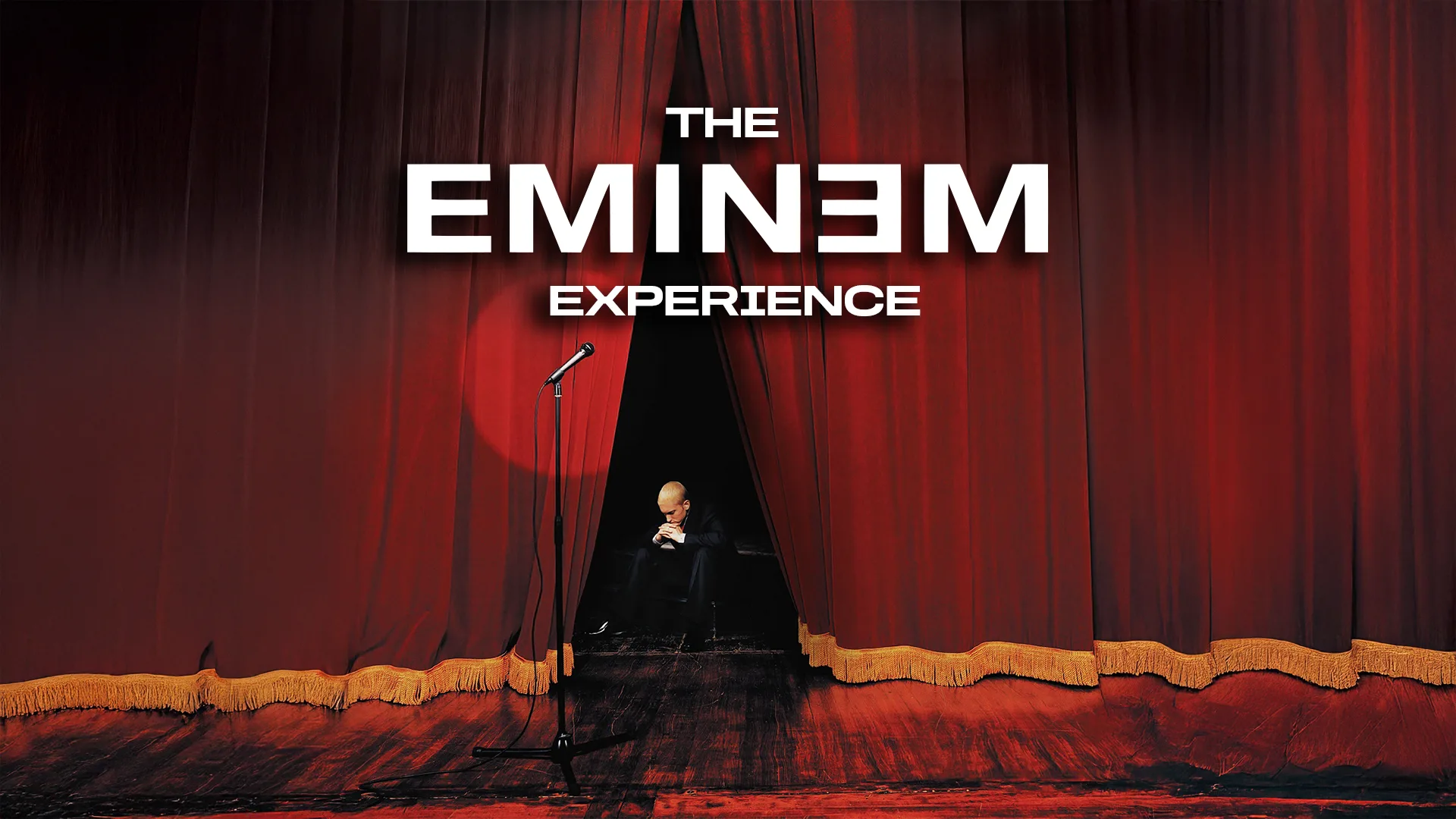 The Eminem Experience at Corporation