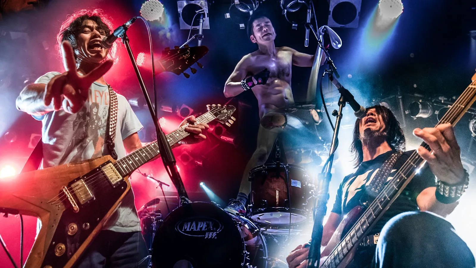 Electric Eel Shock at The Welly
